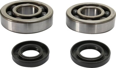 Crank Bearing Seal Kit