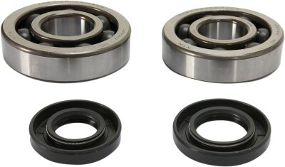 Crank Bearing Seal Kit