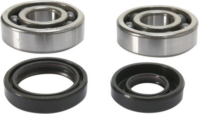 Crank Bearing Seal Kit