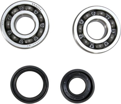 Crank Bearing Seal Kit