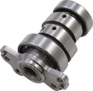 Cam Raptor 700 Stg 2