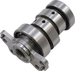 Cam Raptor 700 Stg 3
