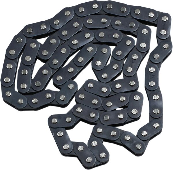 Camchain Warrior/raptor