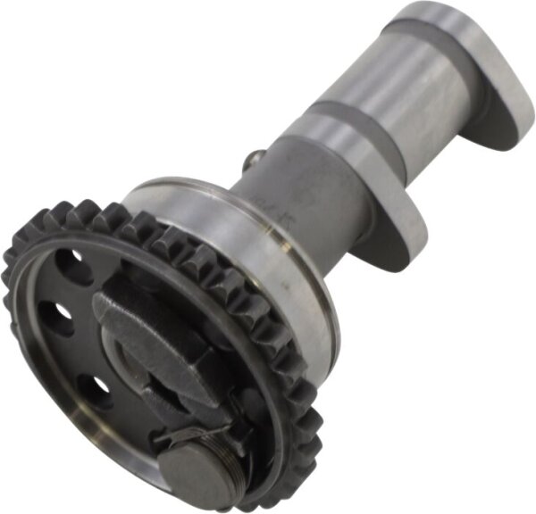 Cam Yam 4287-1e