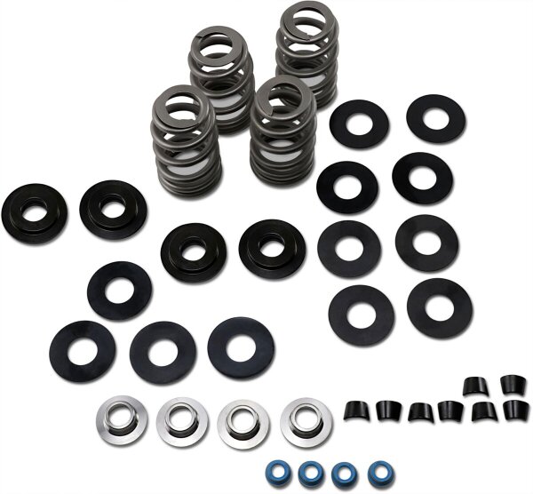 Valve Sprngs Hiload 85-05