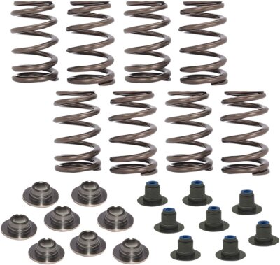 Spring Kit .540 17-19 M8