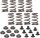 Spring Kit .540 17-19 M8