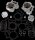Cylinder Kit Big Bore