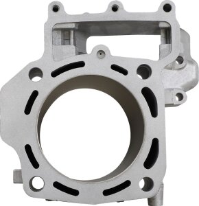 Cylinder Std Teryx Rear