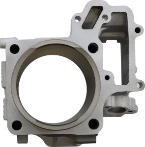 Cylinder Std Teryx Rear