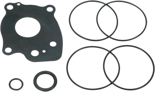 Rebuild Kit Oil Pump06dyn