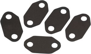 Gasket Inspctn 03-10buell