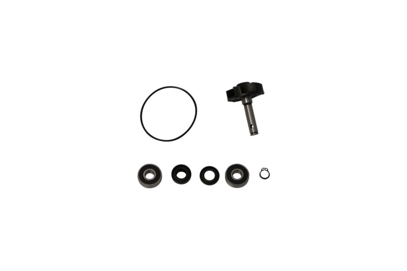 Repair Kit Water Pump Apr