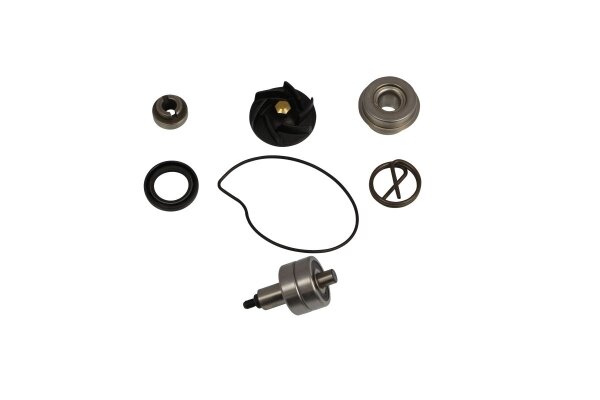 Repair Kit Water Pump Gil