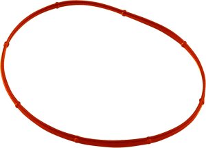 Gasket Derby Rub 07-23 Bt