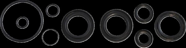 Oil Seal Kit Kos014