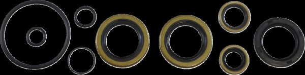 Oil Seal Kit Kos014