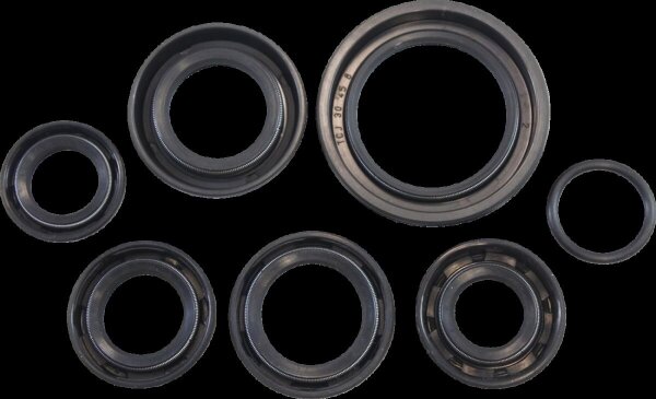 Oil Seal Kit Kos003