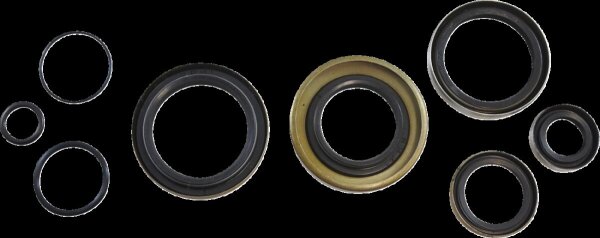 Oil Seal Kit Kos015