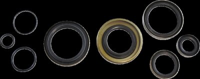Oil Seal Kit Kos015