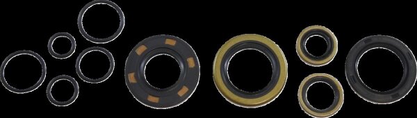 Oil Seal Kit Kos013
