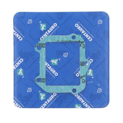 Gasket Intake Kt/hv