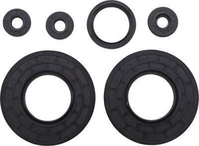 Oil Seal Ski Doo
