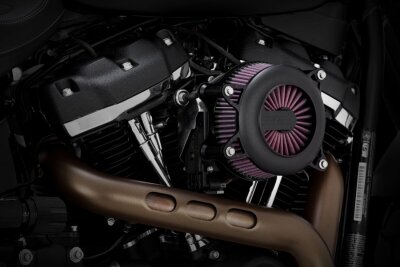 Air Cleaner Rg Bl L-st Fl