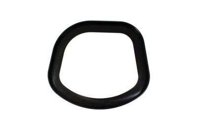 Sealingring Airboxintake