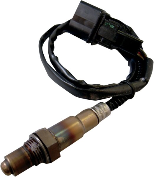 Sensor Oxygen