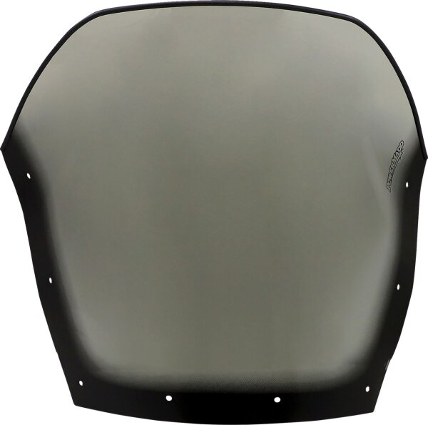 Windshield 14.5 Tint Ski