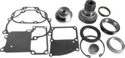 Roller Brg Kit Cruise Drv