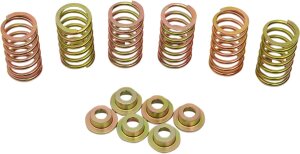 Clutch Spring Kit