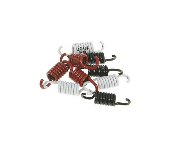 Clutch Spring Kit Sport