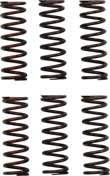 Clutch Spring Crf450r