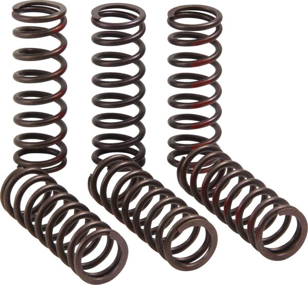 Clutch Spring Crf450r