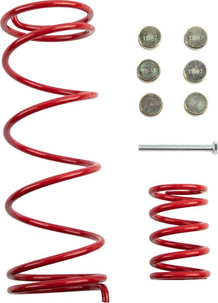Clutch Kit Cfmoto
