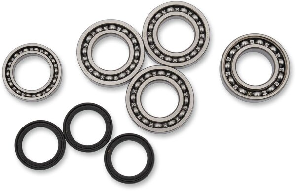 Bearing Kit Diff Ft Pol
