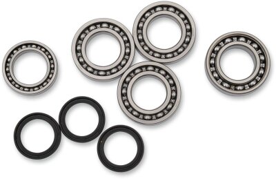 Bearing Kit Diff Ft Pol