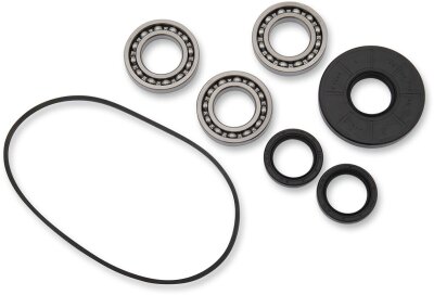 Bearing Kit Diff Ft Pol
