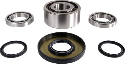 Dif Bearing & Seal Kit Fr
