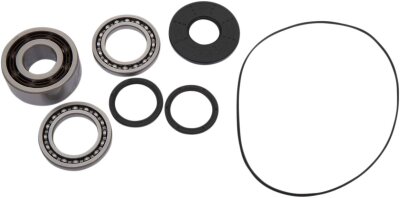 Bearing Kit Diff Ft Pol