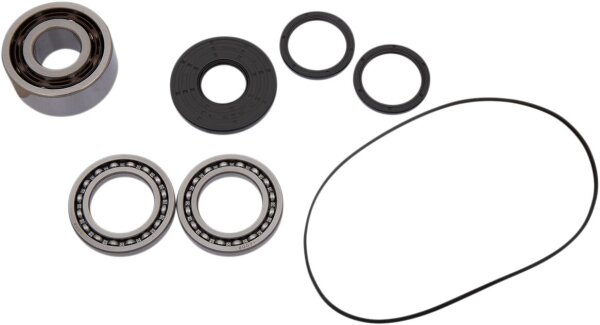 Bearing Kit Diff Ft Pol
