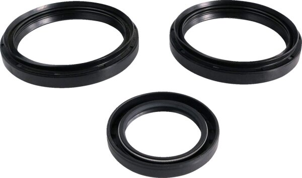 Differential Seal Kit Fr