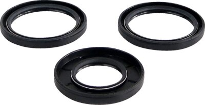 Differential Seal Kit Fr