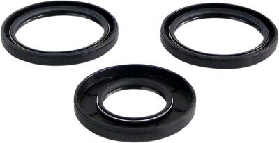 Differential Seal Kit Fr