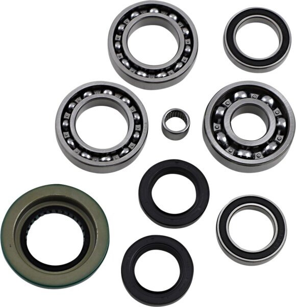 Dif Bearing Seal Kit Rr