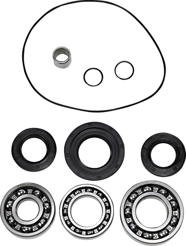 Dif Bearing Seal Kit Rr