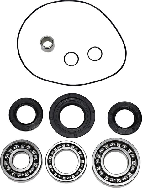 Dif Bearing Seal Kit Rr