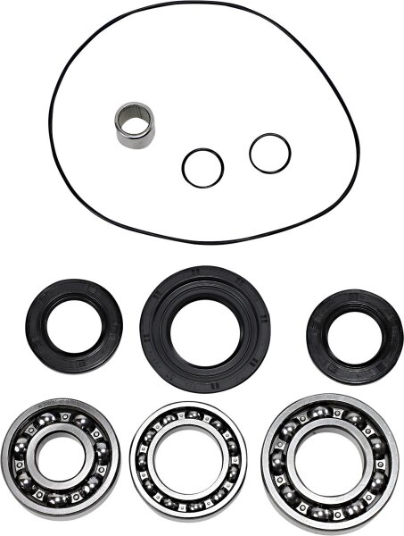 Dif Bearing Seal Kit Rr